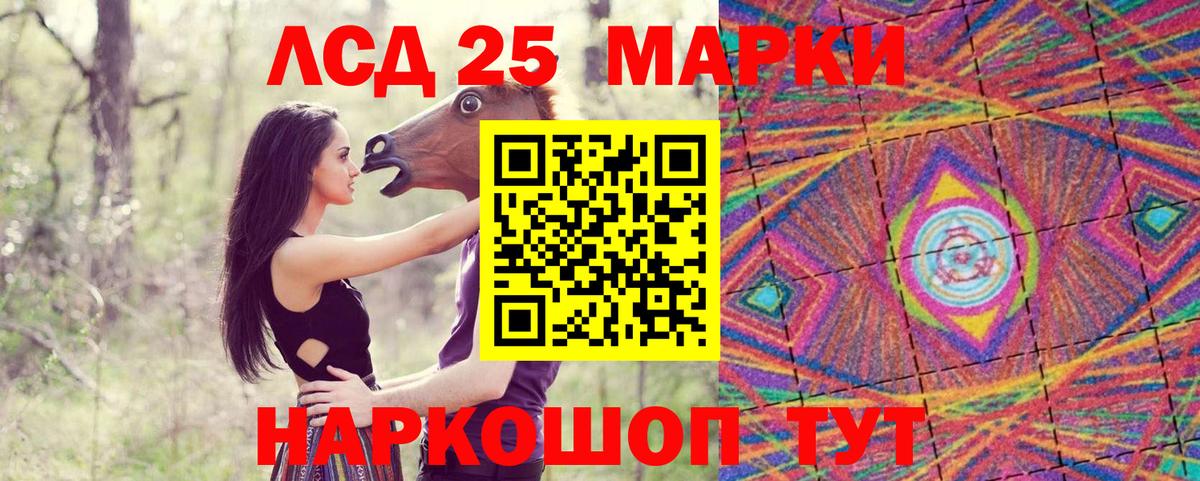 Шелехов  продажа наркотиков  Вход с VPN  Марки 25I-NBOMe 1,5мг 