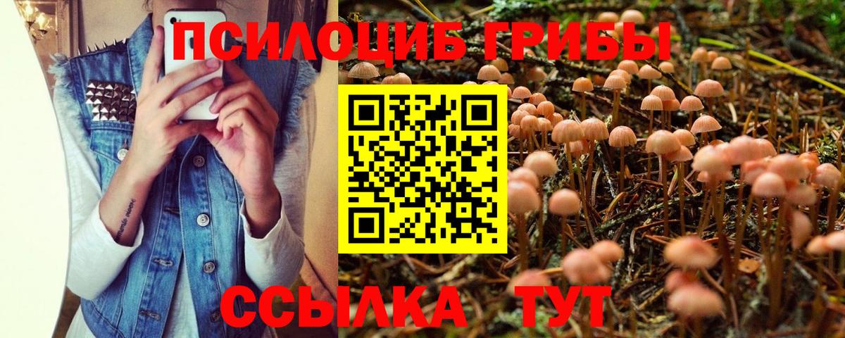 Галлюциногенные грибы Cubensis Шелехов